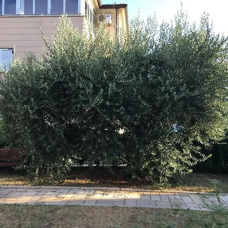 Bozena Apartmán