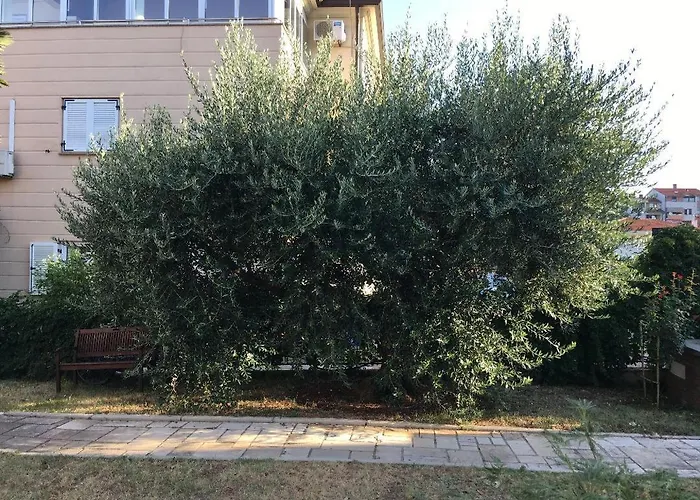 Bozena-porec Apartman